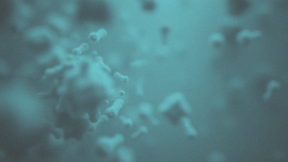 Klebsiella oxytoca w pochwie – objawy, leczenie i zapobieganie